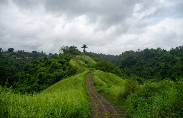 Vale dan Pengelolaan Dampak Kecelakaan Bendungan Brumadinho